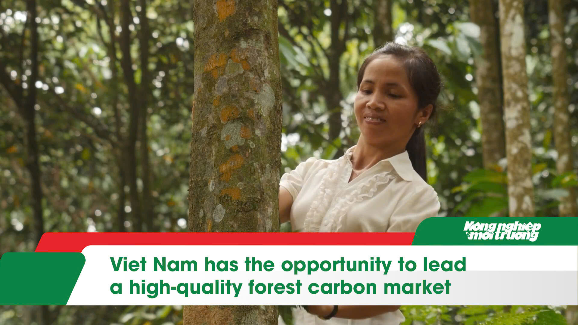 Viet Nam has the opportunity to lead a high-quality forest carbon market